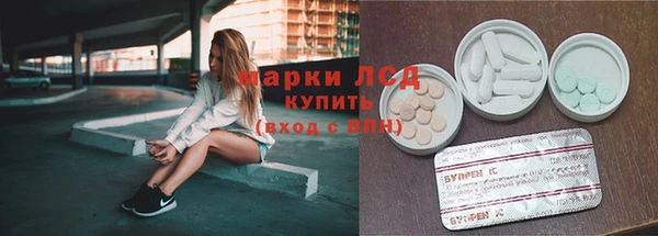 стафф Сосновый Бор