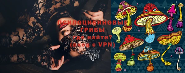 ГАЛЛЮЦИНОГЕННЫЕ ГРИБЫ Сосновка
