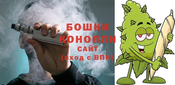 ГАЛЛЮЦИНОГЕННЫЕ ГРИБЫ Сосновка