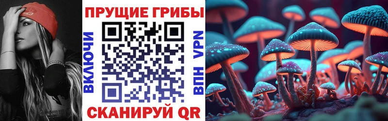 kraken ССЫЛКА  Новый Оскол  Галлюциногенные грибы GOLDEN TEACHER  наркошоп 